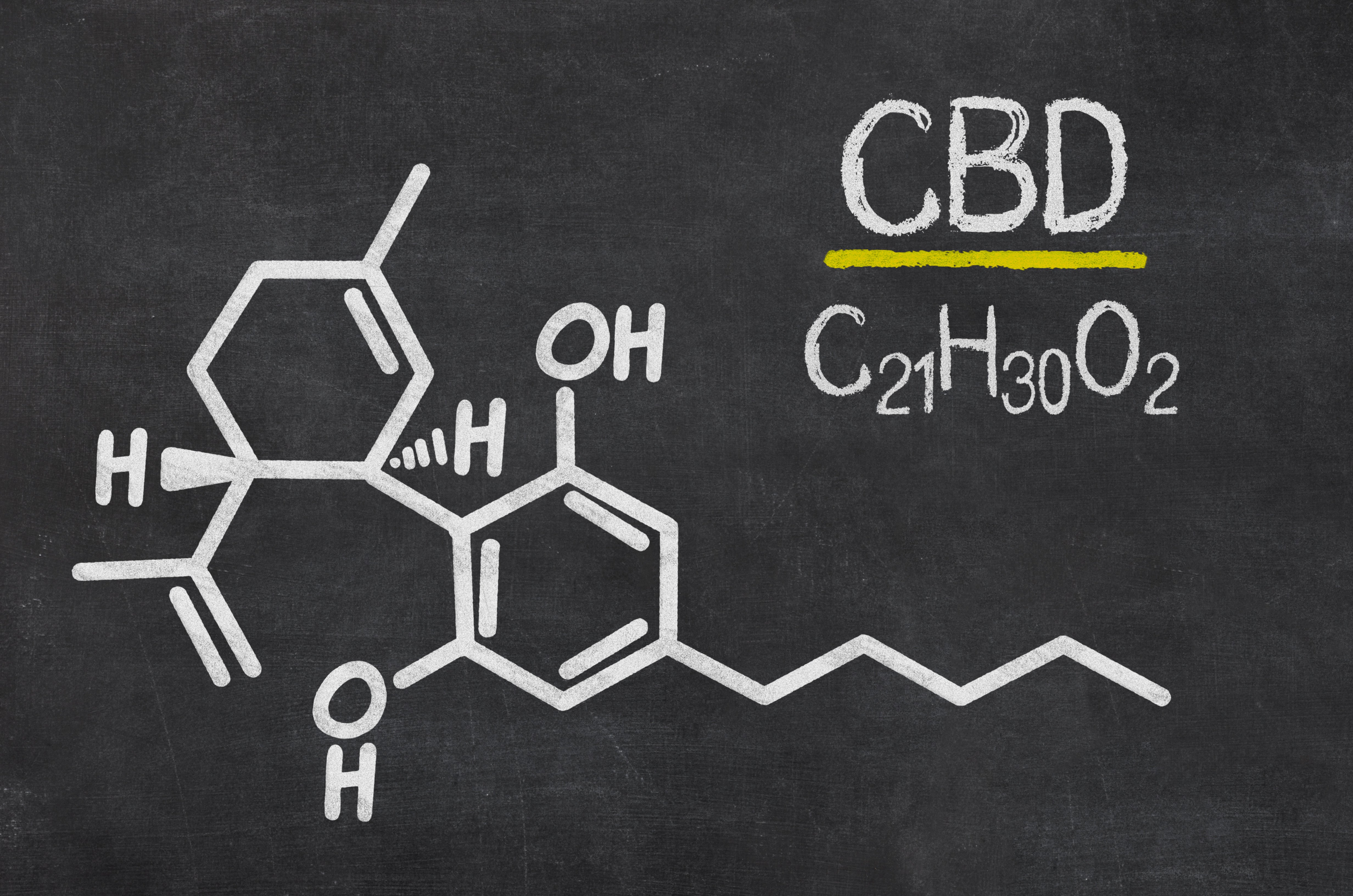 The Rise of CBD Seltzers: Why Sparkling Wellness Drinks Are Taking Over